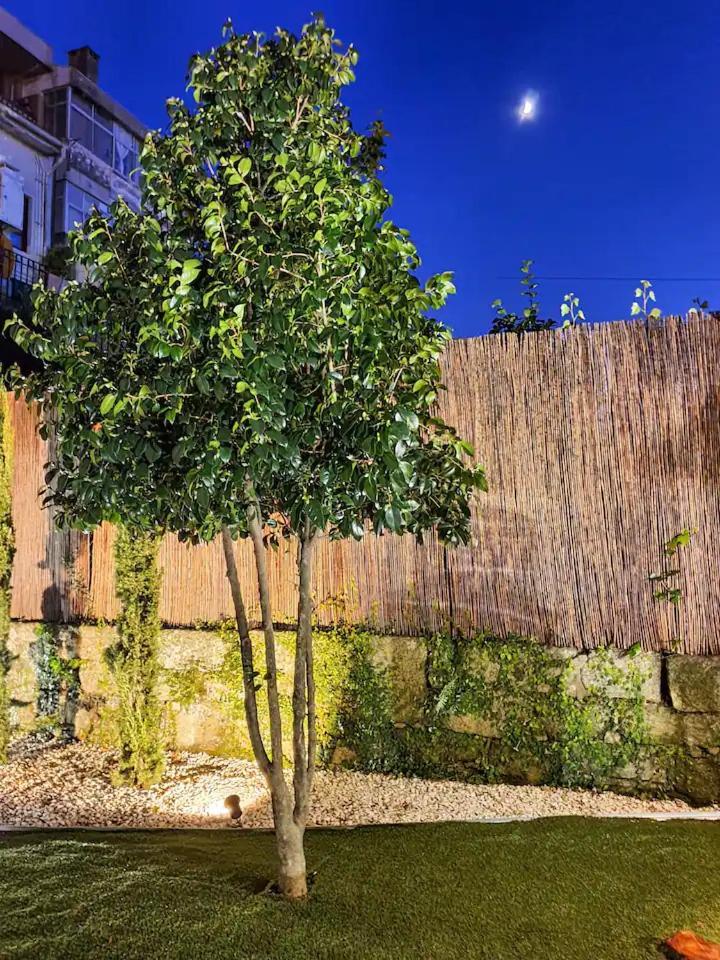 Unique With A Gorgeous Garden Apartamento Porto